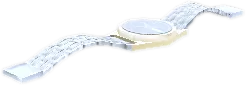 Transparent PNG of the GTA V prop p_watch_06