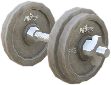 Transparent PNG of the GTA V prop prop_barbell_01