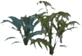 Transparent PNG of the GTA V prop prop_fib_plant_02