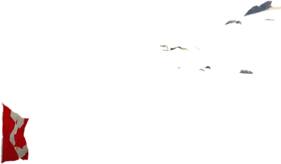 Transparent PNG of the GTA V prop prop_flag_canada