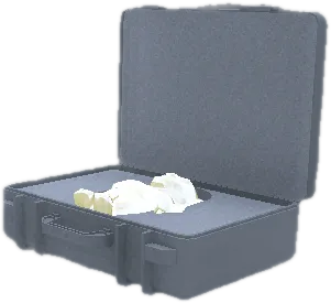 Transparent PNG of the GTA V prop prop_idol_case