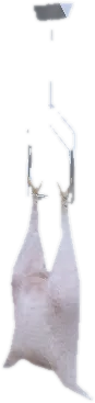 Transparent PNG of the GTA V prop prop_int_cf_chick_03