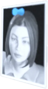 Transparent PNG of the GTA V prop prop_ped_pic_07_sm