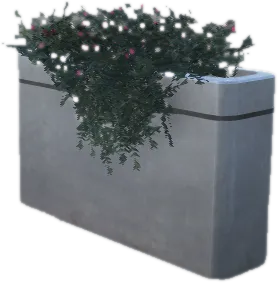 Transparent PNG of the GTA V prop prop_plant_int_05a