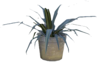 Transparent PNG of the GTA V prop prop_pot_plant_01a