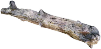 Transparent PNG of the GTA V prop prop_tree_log_01