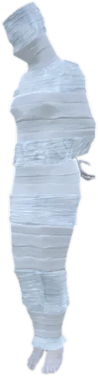 Transparent PNG of the GTA V prop prop_water_corpse_01