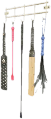 Transparent PNG of the GTA V prop v_res_d_whips