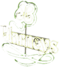 Transparent PNG of the GTA V prop v_ret_neon_blarneys