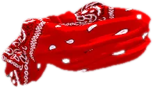 Transparent PNG of the GTA V prop w_ar_g556vvsred_mag1