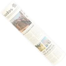Transparent PNG of the GTA V weapon acidpackage