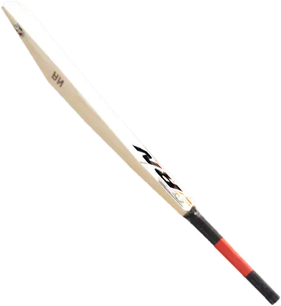 Transparent PNG of the GTA V weapon cricketbat