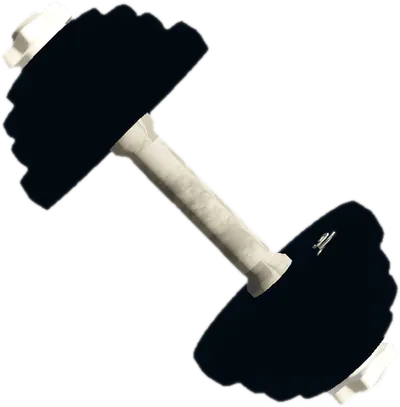 Transparent PNG of the GTA V weapon dumbell