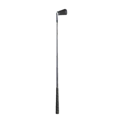 Transparent PNG of the GTA V weapon golfclub