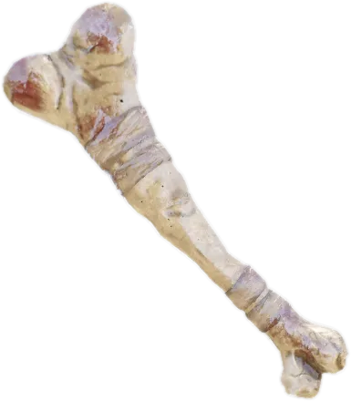 Transparent PNG of the GTA V weapon khanbone